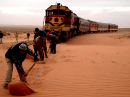 train in desert