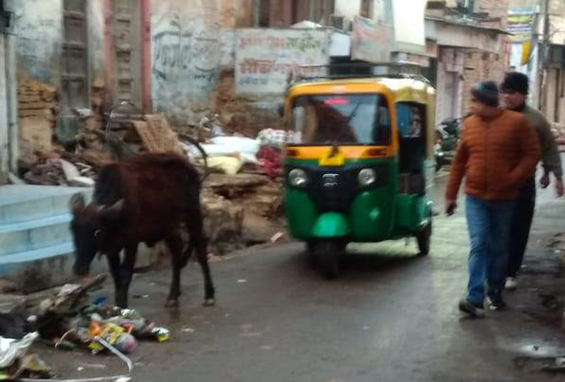 3 हल्की फुहारों व कोहरे के बीच कलक्‍टर कुमार पाल गौतम  देखी सफाई व्यवस्था﻿