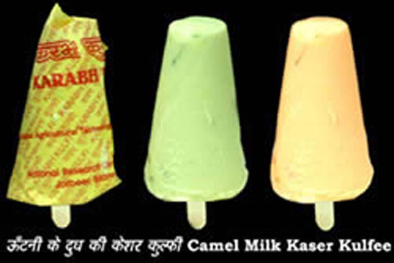 Camel-milk-Kesar-Kulfi रेगिस्तान का जहाज़ ऊंट और राईका