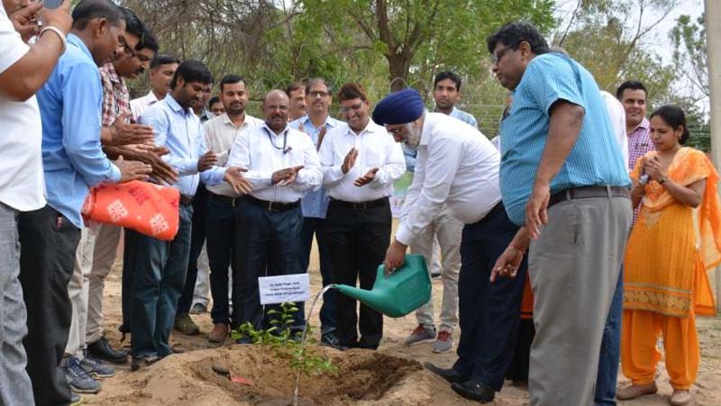 haryalo गुरुवार 1 अगस्त 2019-बीकानेर के समाचार