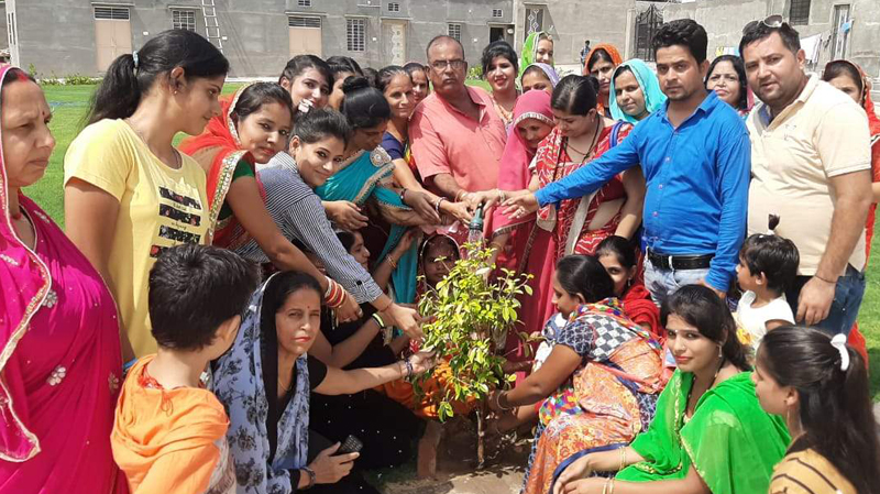 modi-star-2 रविवार 4 अगस्‍त 2019-बीकानेर के समाचार