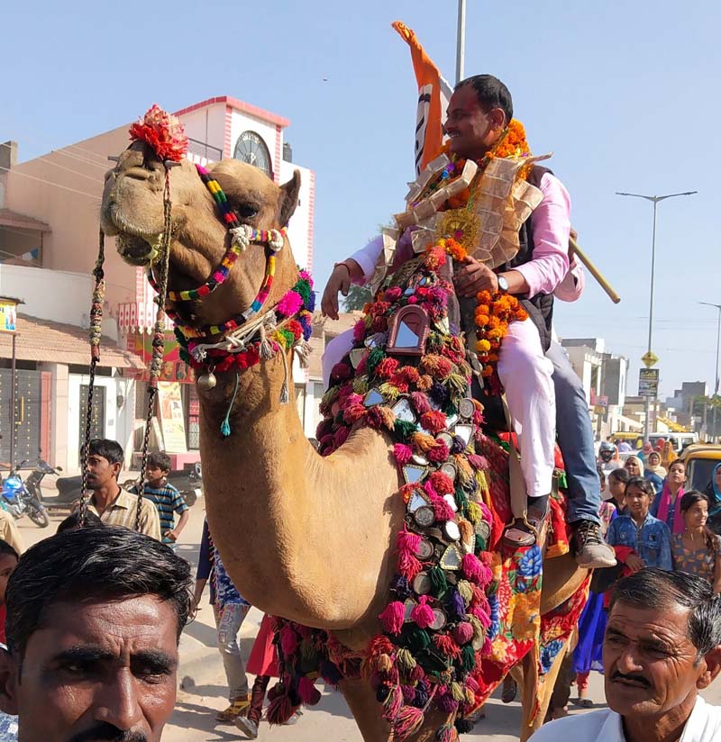 19BKN-PH-1 बीकानेर निगम की 80 सीटें, 38 में भाजपा, 30 कांग्रेस, 11 निर्दलीय,  1 में बसपा विजयी