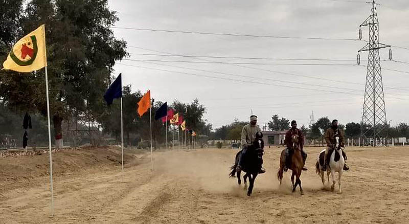 National-Research-Centre-on-Equines-Bikaner-Campus-4 ऊंट उत्सव में होगी घोड़ों की दौड़