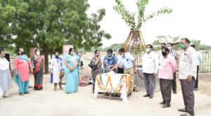 Dr. Purohit couple celebrated Happy Birthday of Peepal tree
