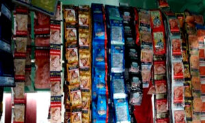 Bikaner Police's surgical strike against small beedi cigarette sellers