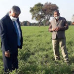 Woolen waste is better than dung and other fertilizers for vegetable production in sandy areas: Vice Chancellor