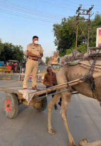 2-1-208x300 थानेदार जी की ऊंटगाडे पर गश्‍त