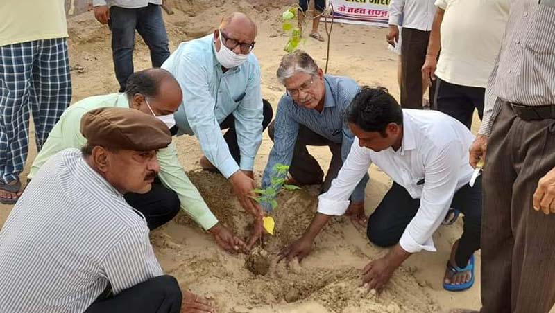 Trees play an important role in saving human body Chief Judicial Magistrate Mahavir Mahavat