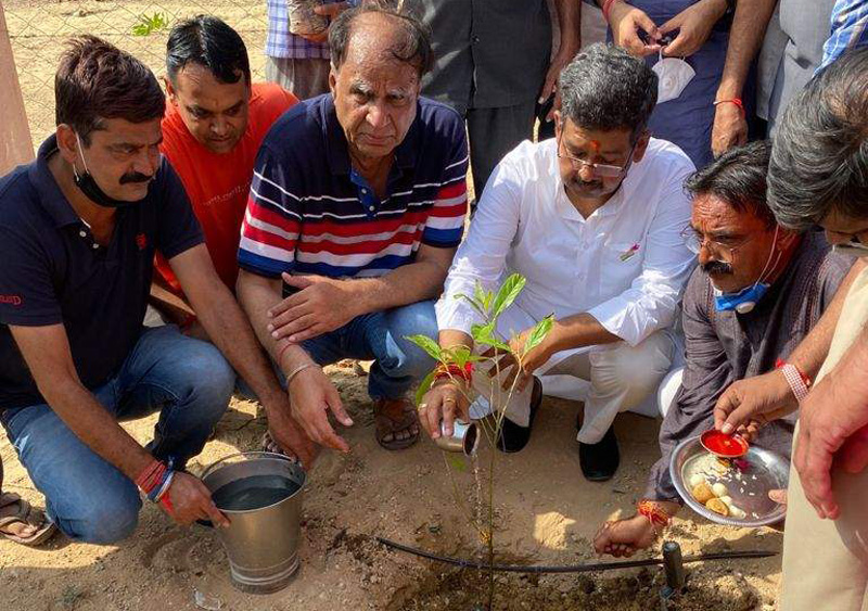 Higher Education Minister Bhati planted Rudraksha plant in Nagnechiji temple premises