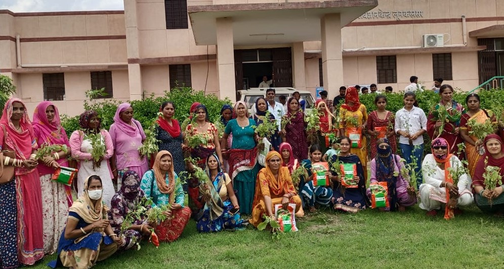 Brinjal and chilli plants distributed to farmers in Lunkaransar