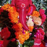 Established Ganpati idol made of red Shadu clay