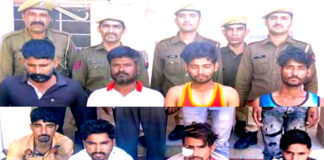 08 youths arrested for hooliganism on Holi