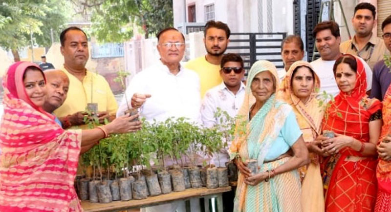 Basil plants distributed in memory of Jhanwar