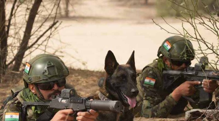 Indian and Japanese soldiers killed terrorists in Chidasar with the help of trained eagle and dog.