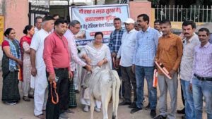 It is important to prevent road accidents caused by stray animals- Sajiya Tabadsum