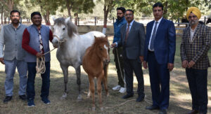 Today no one wants to even talk about donkeys - Dr. S.C. Mehta