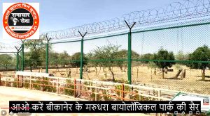 Come-lets-take-a-tour-of-Bikaners-Marudhara-Biological-Park.3-300x167 आओ करें बीकानेर के मरुधरा बायोलॉजिकल पार्क की सैर