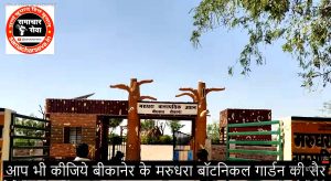 The-botanical-garden-being-developed-across-32-hectares-will-give-Bikaner-a-new-identity.1-300x164 बीकानेर को नई पहचान देगा 32 हेक्टेयर में विकसित हो रहा बॉटनिकल गार्डन