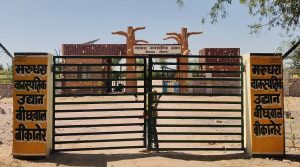 The-botanical-garden-being-developed-across-32-hectares-will-give-Bikaner-a-new-identity.3-300x167 बीकानेर को नई पहचान देगा 32 हेक्टेयर में विकसित हो रहा बॉटनिकल गार्डन